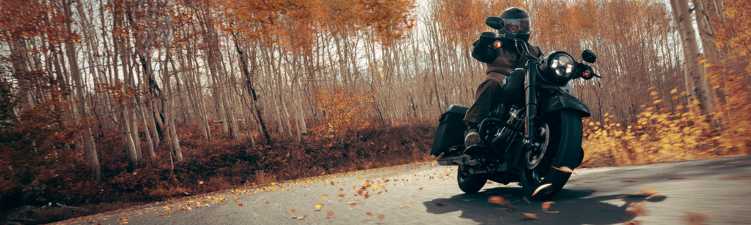 2024 FLHRXS ROAD KING SPECIAL - Harley Davidson Winnipeg Service Your Bike